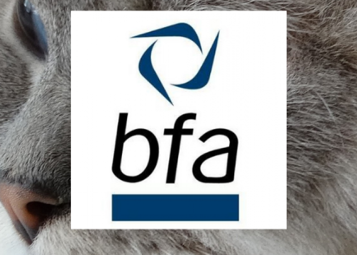 The Cat Butler accredited By The British Franchise Association