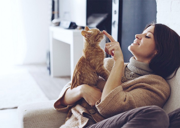 Cat Butler Revenue Figures up by 162%!