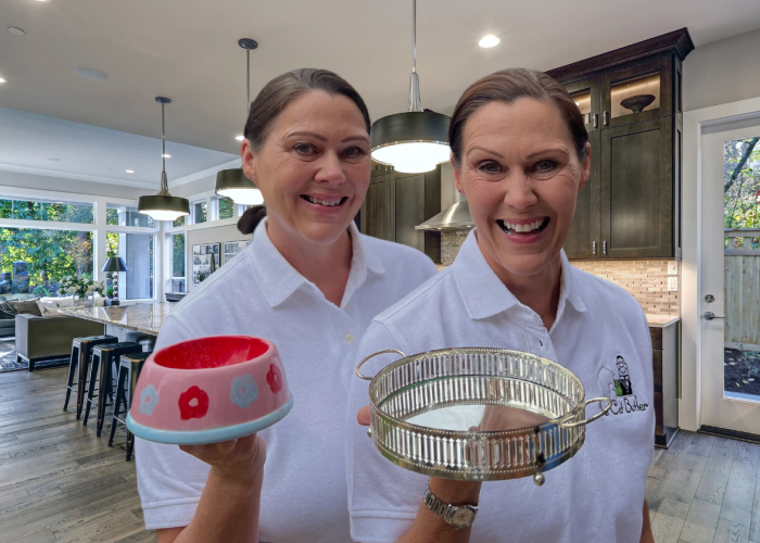 Twin Sisters Swap Chalkboards for Cat Care as they launch their The Cat Butler Business in Derby