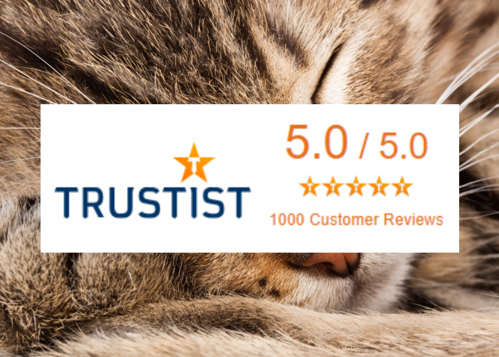 The Cat Butler Reaches 1,000 5-star Customer Reviews