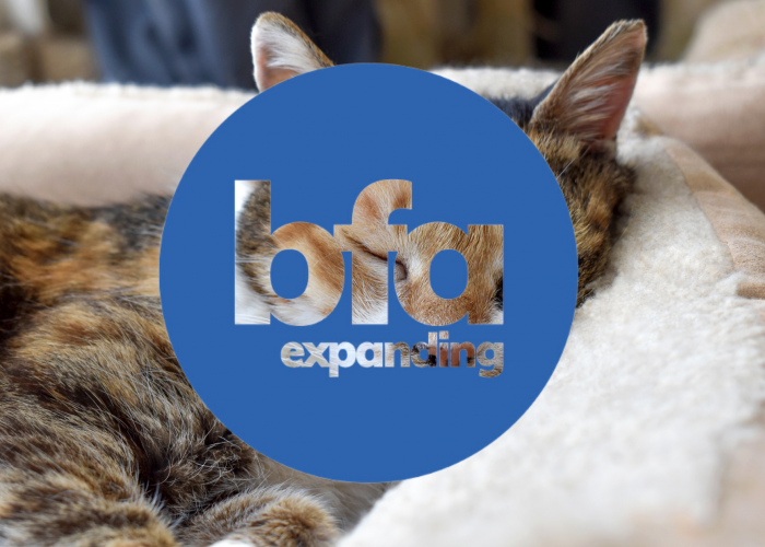 The Cat Butler Is Promoted To Expanding Membership of The British Franchise Association