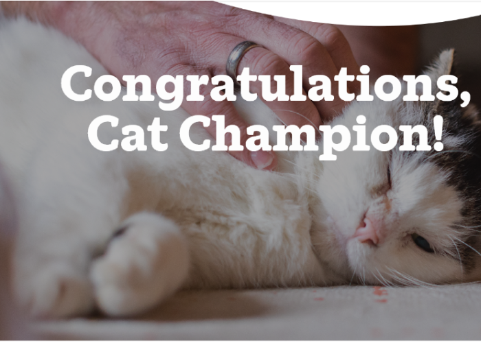 The Cat Butler Radlett is a "Cat Champion" with Cats Protection!