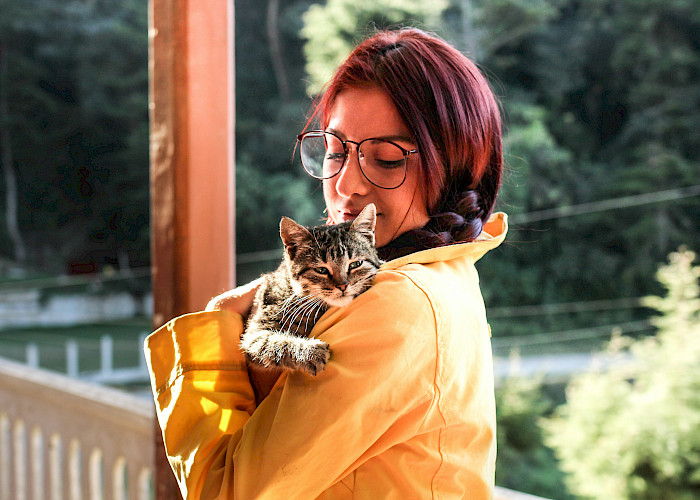 Turn Your Love for Cats into Your Dream Job with The Cat Butler Franchise