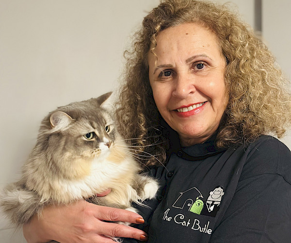 The Cat Butler Waltham Cross & Cheshunt