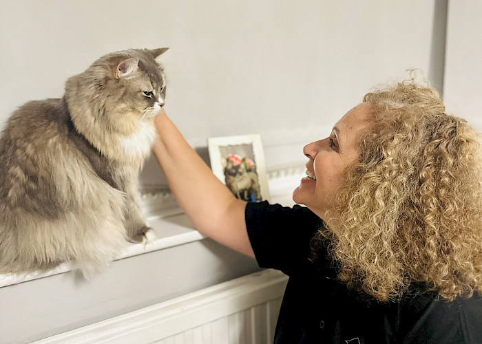 The Cat Butler Comes to Enfield