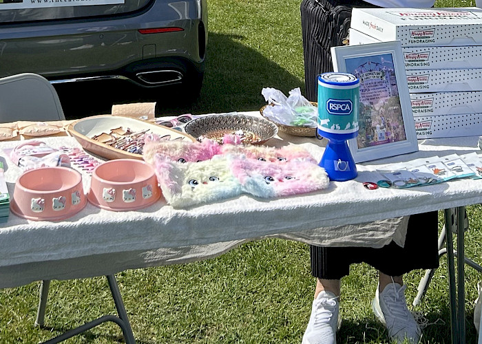 Celebrating Community: The Cat Butler Enfield Joins the St. George’s Day Fun Day