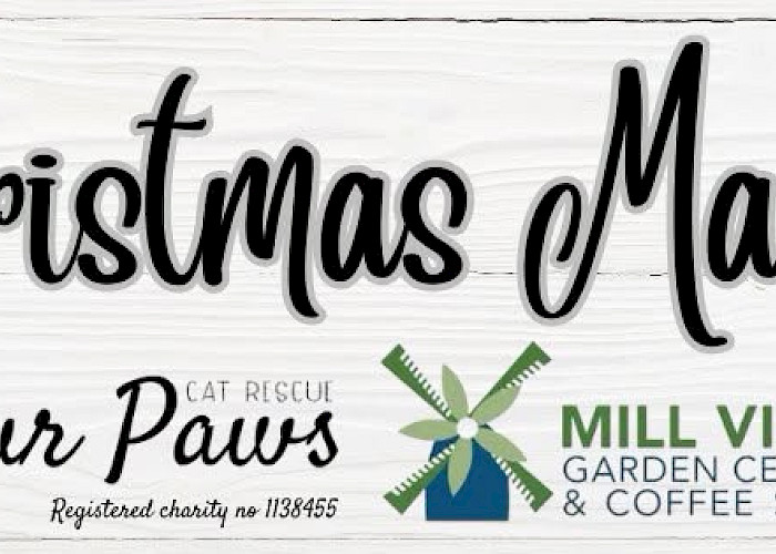 Festive Fundraising: The Cat Butler Thame Appeals for Christmas Tombola Prizes!